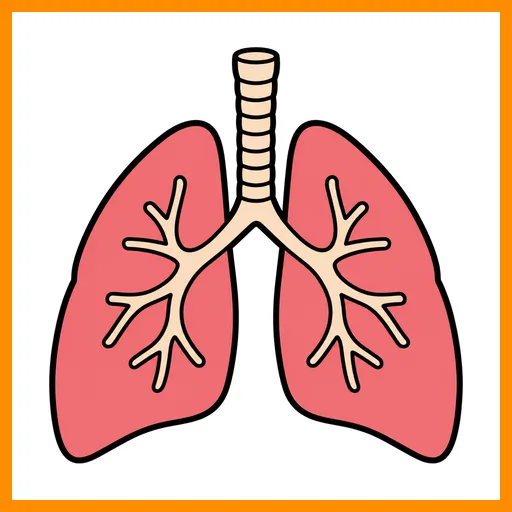 Pictograma de pulmones con marco Fitzgerald naranja