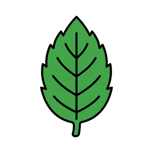 Pictograma de hoja (tiempo, naturaleza y fiestas) para SAAC y logopedia