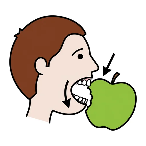 Pictograma de morder (acciones y verbos) para SAAC y logopedia