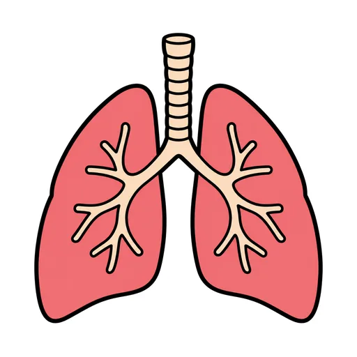Pictograma de pulmones (cuerpo y salud) para SAAC y logopedia